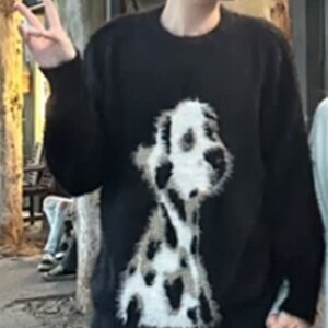 美式复古仿貂绒2025狗狗圆领针织开衫外套女新款毛茸茸绒绒毛衣图片