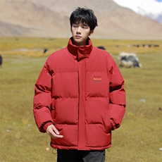 2024冬季新款cityboy大码字母印花棉衣M-5XHM24753-4-特P55，男装棉衣，电商A022