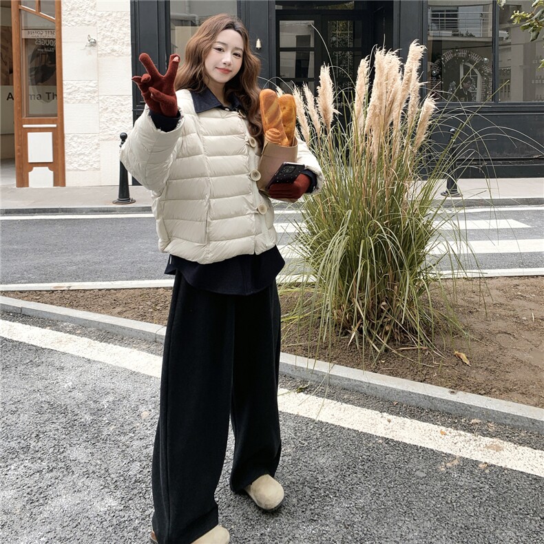 气质百搭小众简约风翻领羽绒服女冬2025新款洋气休闲轻薄保暖外套,女装羽绒服,艾米莉亚