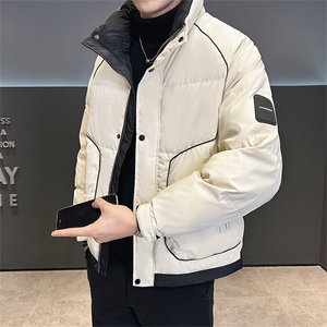 标85白鸭绒 高品质冬季休闲立领羽绒服保暖外套男23878-P225图片
