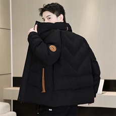 冬季加厚棉衣男休闲时尚青年立领棉衣百搭棉服外套M1801-P78，男装棉衣，星座310B-3