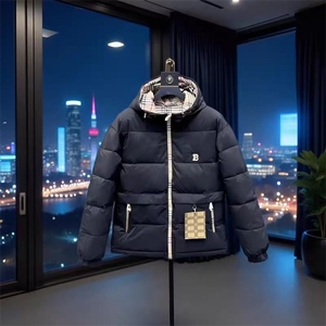 (网图)轻奢男士休闲棉服百搭连帽保暖潮流棉衣 313B-JK24618-P110图片