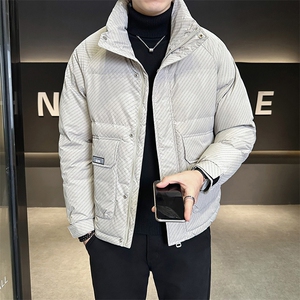 轻薄羽绒服男冬季2024新款条纹立领男装外套 A313-7535-P175图片