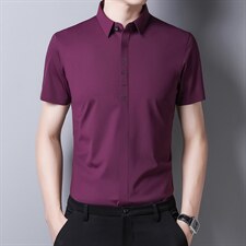 DN8200限价158元夏季男式短袖衬衣青年修身暗门襟无痕纯色衬衫P96图片