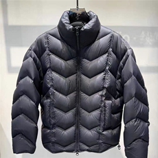 (网图)90白鸭绒200-230克高充绒休闲龟背羽绒服313B-88081-P350，男装羽绒服，星座313B