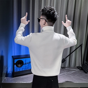 冬季新款男士高领毛衣坑条螺纹韩版百搭显瘦打底衫A368-W6006-P68图片