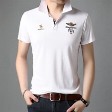 G72872021夏季新款T恤衫男POLO衫短袖翻领，男装T恤，电商B360