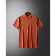 夏季短袖T恤男中年人夏装上衣纯色休闲宽松薄款时尚翻领Polo衫，男装Polo衫，电商B212（原钱塘6029）