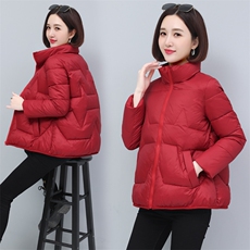 立领棉服女冬季2022新款时尚小棉袄宽松保暖棉衣外套，女装棉衣/棉服，涵誉