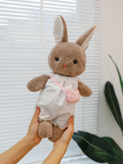 顶新玩具 安抚兔
