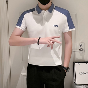 2023男夏季小伙简约休闲POLO衫男刺绣保罗衫301A-1/PL63/P50图片