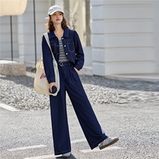 2025秋装新款时尚气质牛仔三件套，女装套装/套裙，依路服饰