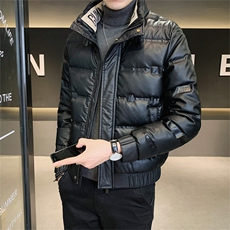 店主风皮羽绒服男白鸭绒保暖外套帅气立领上衣B317/PY501/P155，男装羽绒服，电商B317