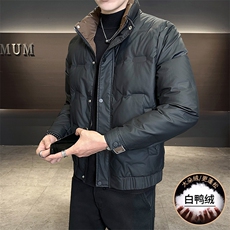 MY906-P1202025秋冬男士标50立领羽绒服青年保暖加厚棉服外套，男装羽绒服，星座507A（原星座306B-2）