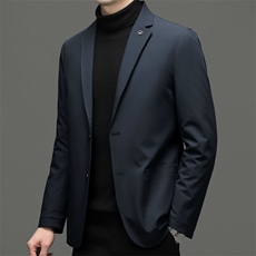 2024年新款男士羽绒服P210，男装羽绒服，电商D223-1