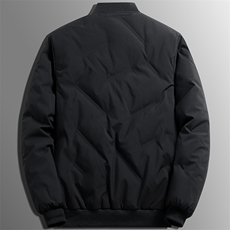 立领棉服男士2025新款秋冬季加厚休闲短款棒球服鸭绒夹克外套男潮，男装夹克，电商B212（原钱塘6029）