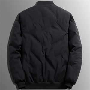 立领棉服男士2025新款秋冬季加厚休闲短款棒球服鸭绒夹克外套男潮图片