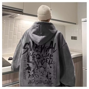 高质量麂皮绒连帽卫衣潮简约气质慵懒原宿新款百搭时尚WY1401P54