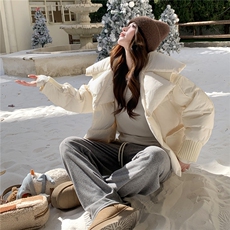 水衣源2319款短款大翻领加厚时尚羽绒服冬季保暖外套女，女装羽绒服，水衣源