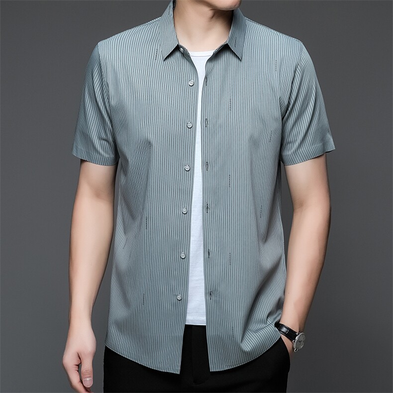 2024新款短袖衬衫男秋季条纹免烫寸衫中年薄款商务休闲上衣服P65,男装衬衫,钱塘6003A(原)4033A
