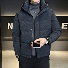 6629-L-4XL-P225标50绒店主风店主风男士常规休闲连帽羽绒服，男装羽绒服，电商B255