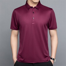 polo衫男夏季t恤男短袖翻领保罗衫商务男装潮流半袖体恤，男装T恤，电商B212（原钱塘6029）
