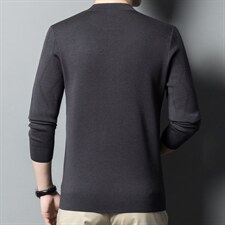 CA906082钱塘2020-2春秋薄款时尚休闲中年男士百搭羊毛衫P175，男装针织衫/毛衣，钱塘207-2