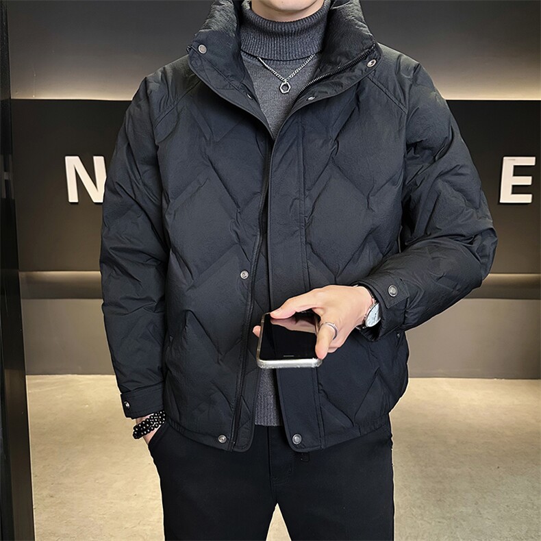 标50绒男士立领短款羽绒服休闲保暖外套B338-88159-P225,男装羽绒服,电商B338