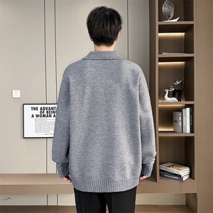 8757-P48 2025年秋冬新款翻领毛衣男时尚长袖针织衫图片