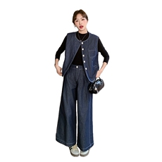 2025年春季新款马甲两件套，女装套装/套裙，秋水欣儿