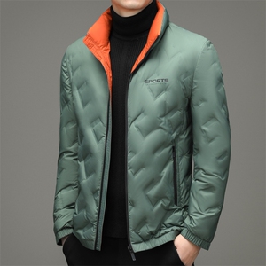 2024年新款羽绒服P195图片