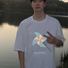 230g重磅纯棉短袖t恤男大码半袖半截袖DX17112-P20，男装T恤，电商A040