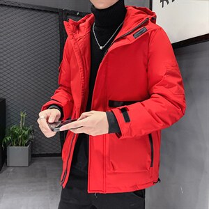 现货店主风短款连帽时尚户外工装外贸团体学生修身羽绒服R2058p80图片