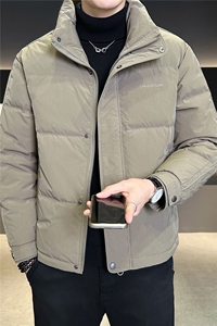 标50绒 立领男士羽绒服冬季2025新款加厚外套 A313-2632-P215图片