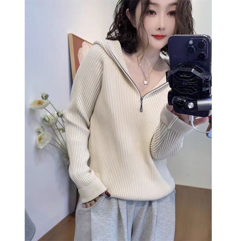 秋冬安迪绒连帽针织毛衣女套头坑条宽松显瘦帽衫拉链打底纯色百搭图片