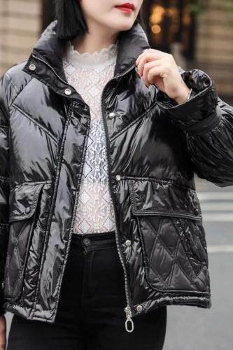 娇姿百合 JZBH102338