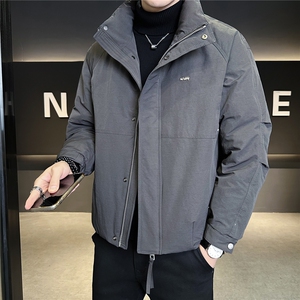 标50绒 羽绒服男冬季2025新款立领时尚外套 A313-3306-P215图片
