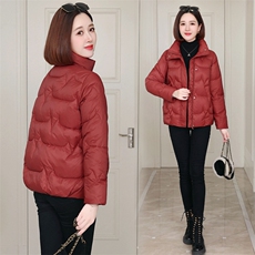 羽绒棉服女短款2025冬季新款时尚立领棉衣小个子宽松加厚棉袄外套，女装棉衣/棉服，木橙西子