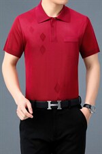 夏装新款短袖t恤男士夏季冰丝polo衫宽松中老年衣服时尚百搭男装，男装T恤，电商B212（原钱塘6029）
