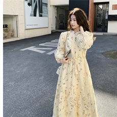 新品大货时尚蕾丝印花连衣裙2603-P175-K289，女装连衣裙，2C261