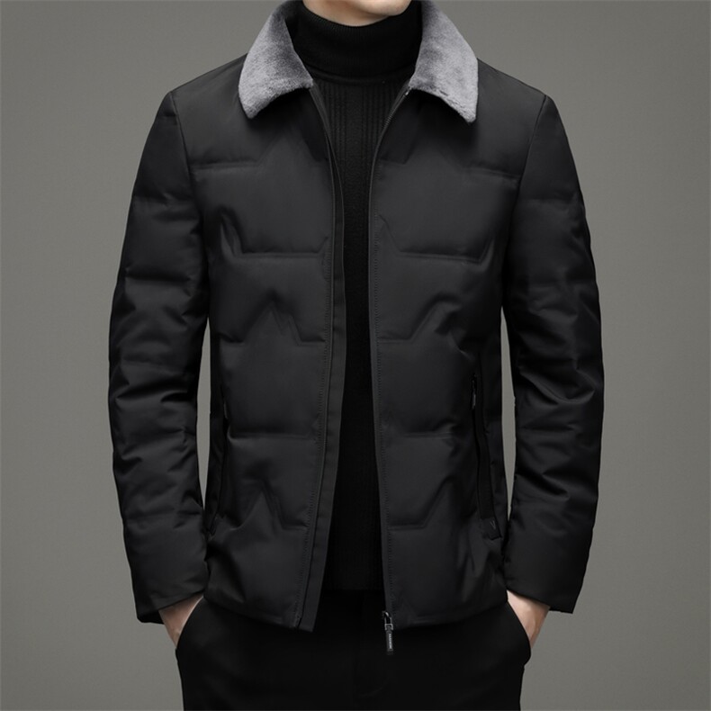CXZZF17钱塘2020-2中年男士冬季厚款商务休闲简约羽绒服外套P195图片