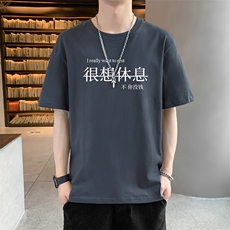 DT09灰色