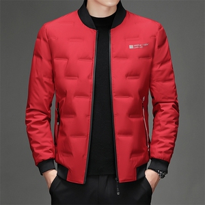 2023冬季新款羽绒服男常规立领保暖厚款羽绒外套男装SJ72052-P225图片