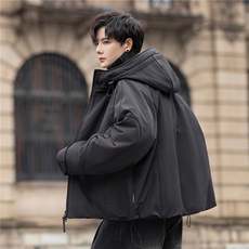 2025设计师款羽绒服夹克男冬装保暖加厚羽绒外套2222-P390控698，男装夹克，电商A355（原A415）