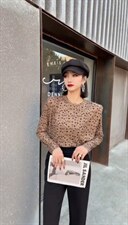 春装新款，，其它，大迈