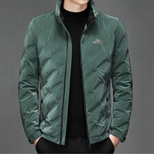 中年男士休闲立领白鸭绒羽绒服保暖防寒纯色羽绒男BJY08211-P190,男装羽绒服,电商B212（原钱塘6029）