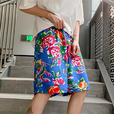 DK2009蓝色