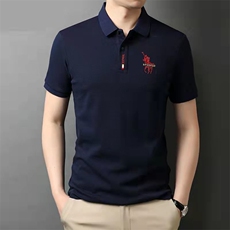 夏季新款男士短袖男款POLO杉高档轻商务翻领半袖百搭中年爸爸装，男装T恤，电商B212（原钱塘6029）