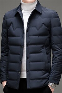 BAMJ-12119钱塘2020-2冬季厚款商务休闲简约中年男士羽绒服P170图片