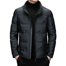 中年男士保暖外套立领爸爸衣服羽绒服男短款冬季XXH9620-P230，男装羽绒服，电商B212（原钱塘6029）
